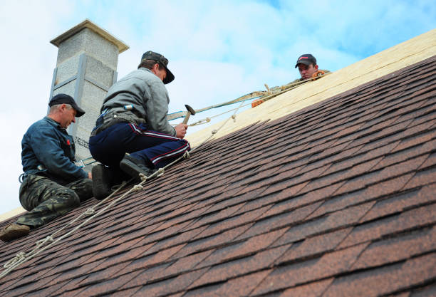 Best Roof Leak Repair  in Hutchinson Island South, FL